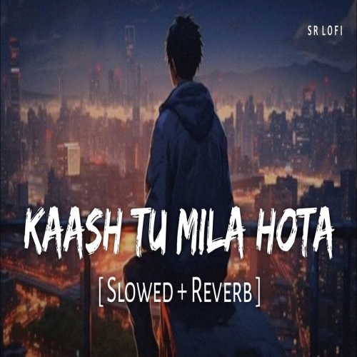 Kaash Tu Mila Hota (Lofi Mix)
